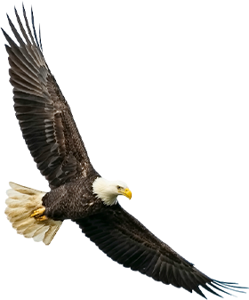Aire Valley Eagles Logo